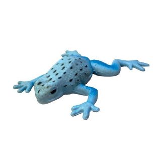 Obrázek z Pralesnička azurová strečová (24) 